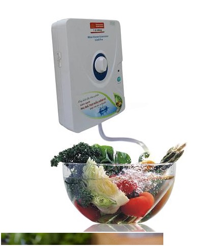 Chú ý khi sử dụng máy Ozone để rửa hoa quả Chú ý khi sử dụng máy Ozone để rửa hoa quả